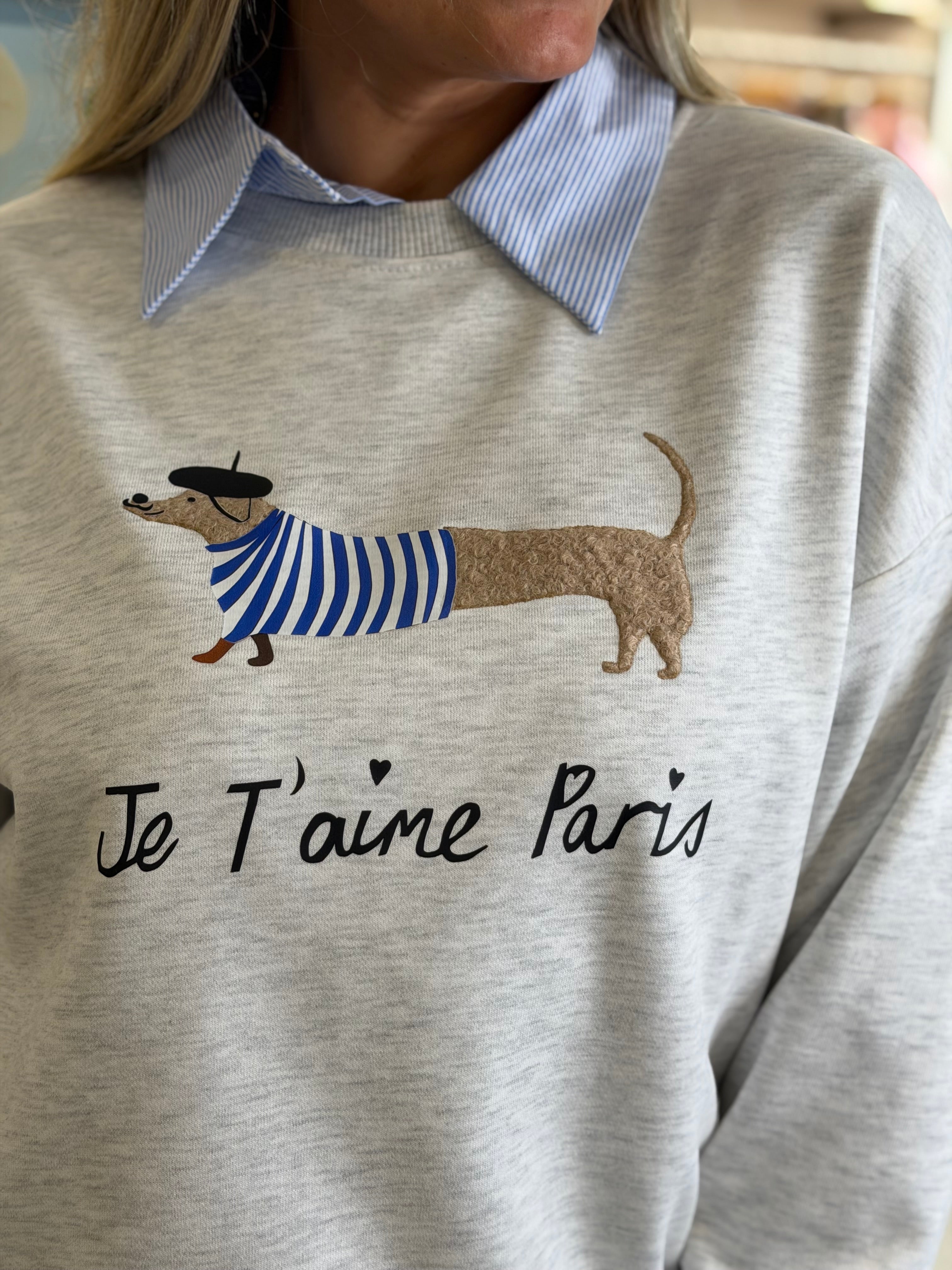 THE PARIS PUP SWEATSHIRT